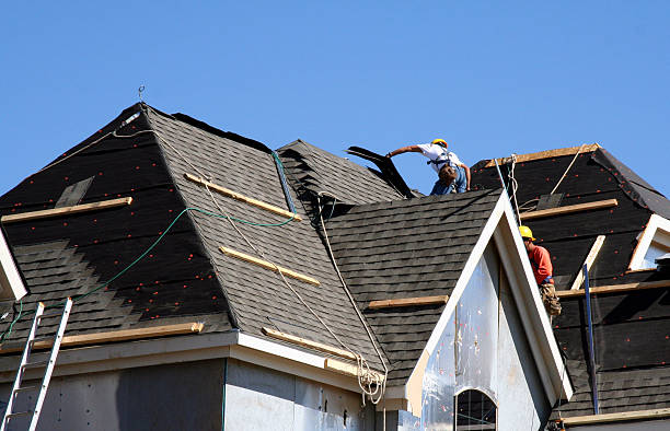 Best Roof Gutter Cleaning  in South Paris, ME