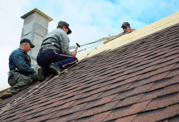 Best Local Roofing Companies  in South Paris, ME